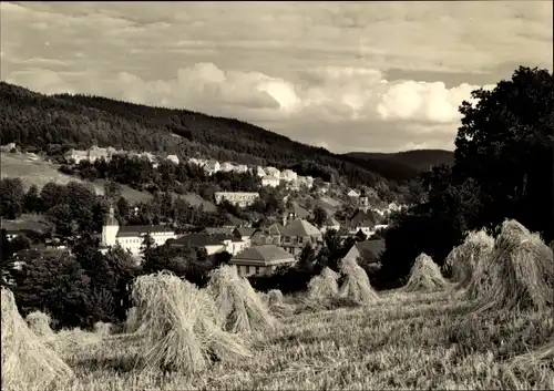 Ak Schmiedeberg Dippoldiswalde im Osterzgebirge, Blick auf den Ort, Heuhaufen