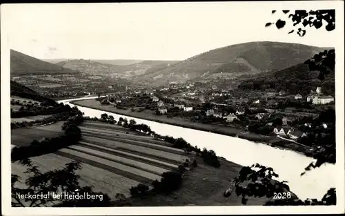 Ak Heidelberg am Neckar, Neckartal