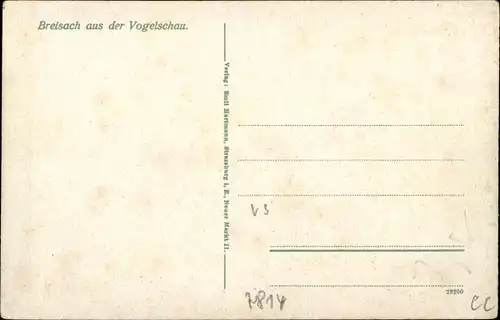 Ak Breisach am Oberrhein, Totalansicht vom Ort