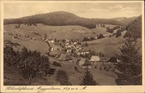 Ak Muggenbrunn Todtnau im Südschwarzwald, Panorama, Gasthaus und Pension zum grünen Baum