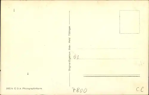 Ak Freiburg im Breisgau, Münster