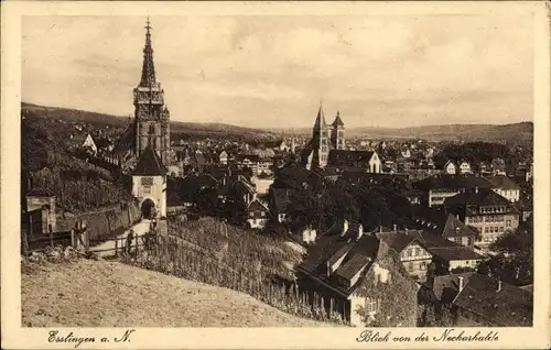 Ak Esslingen am Neckar, Blick von der Neckarhalde