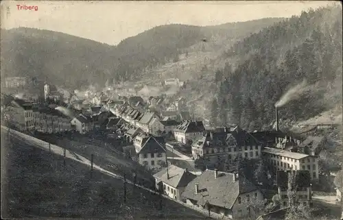 Ak Triberg im Schwarzwald, Ortsansicht