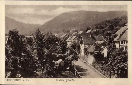 Ak Ilsenburg am Nordharz, Buchbergstraße