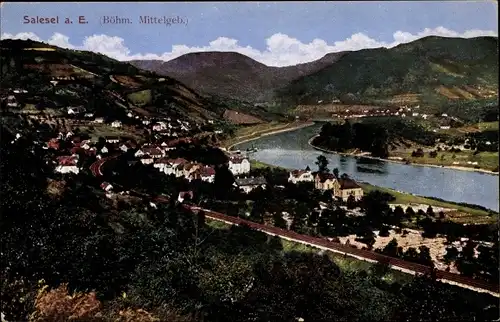Ak Dolní Zálezly Salesel Elbe Region Aussig, Blick auf die Stadt