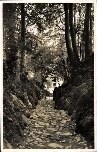 Ak Küssnacht Kanton Schwyz, historische Hohlen Gasse