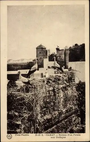 Ak Rabat Marokko, Ruines d'un Palais aux Qudayas