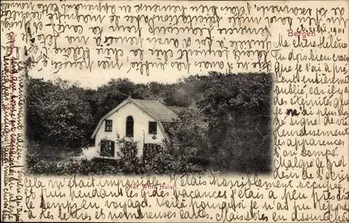 Ak Bergen Nordholland Niederlande, Het Witte Huis