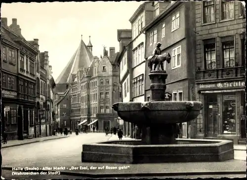 Ak Halle an der Saale, Alter Markt, Der Esel, der auf Rosen geht, Brunnen