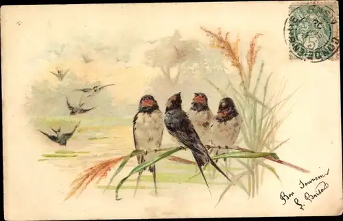 Litho Schwalben auf einem Zweig