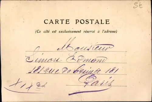 Handgemalt Ak Schwalbe, Waldpartie, Tannenbäume