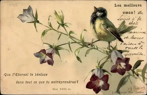 Künstler Litho Brasel, S. N., Les meilleurs voeux, Vogel, Blühende Blumen
