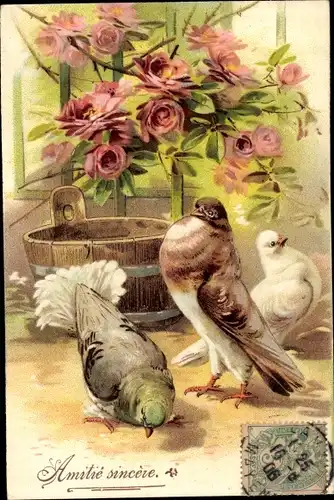 Präge Ak Tauben, Rosenblüten, Wenn Liebe sich vor Liebe bückt