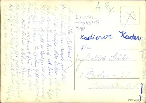 3 D Ak Zwei Wellensittiche, Papagei