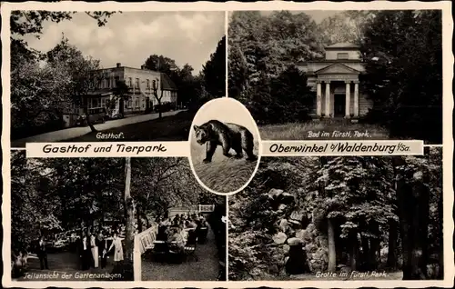Ak Oberwinkel Waldenburg in Sachsen, Gasthof und Tierpark, Bad im fürstl. Park, Bär, Gartenanlagen