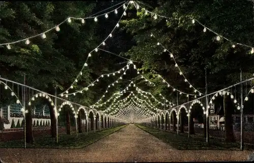 Ak Dresden, Internationale Hygieneausstellung 1911, Illumination der Herkulesallee