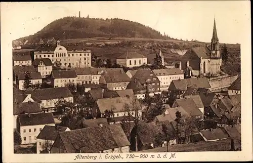 Ak Altenberg im Erzgebirge, Gesamtansicht