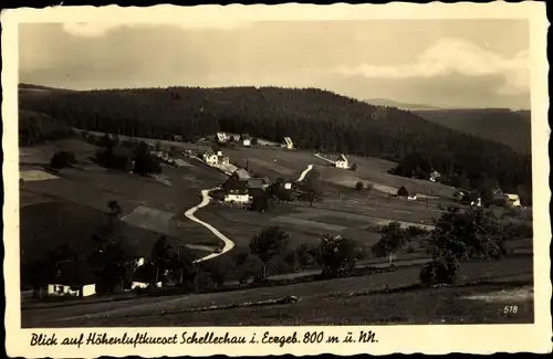 Ak Schellerhau Altenberg im Erzgebirge, Panorama