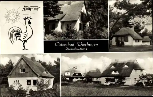 Ak Ostseebad Dierhagen, Strandsiedlung, Haus Früh auf, Hahn, Sonne