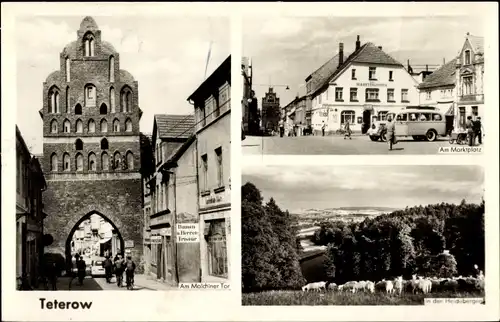 Ak Teterow in Mecklenburg, Malchiner Tor, Marktplatz, Heideberge, Schafherde