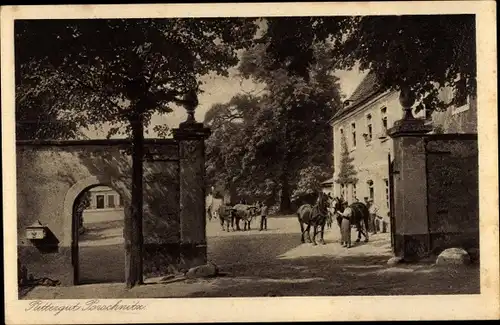 Ak Diera Zehren b. Meißen, Rittergut Porschnitz