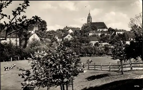 Ak Krögis in Sachsen, Panorama, Kirche, Kühe