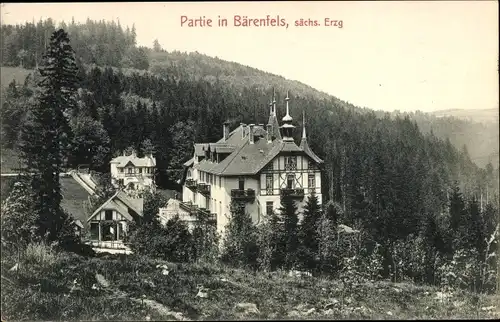 Ak Bärenfels Altenberg im Erzgebirge, Ortspartie