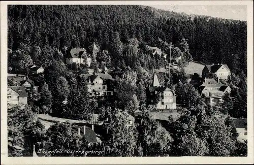 Ak Bärenfels Altenberg im Erzgebirge, Panorama