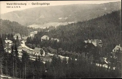 Ak Waldbärenburg Bärenburg Altenberg im Erzgebirge, Panorama