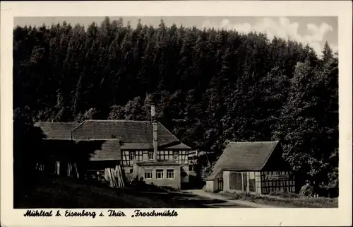 Ak Eisenberg in Thüringen, Froschmühle, Mühltal