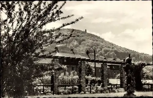 Ak Freital in Sachsen, Siedlung mit Windberg