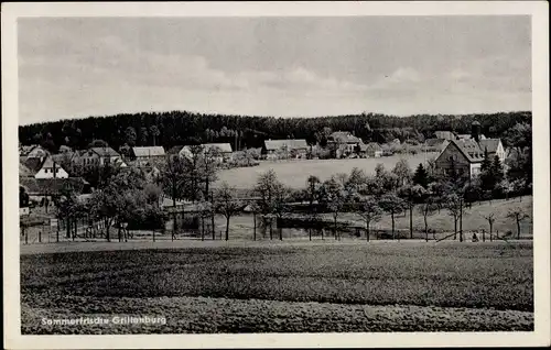 Ak Grillenburg Tharandt Sachsen, Panorama