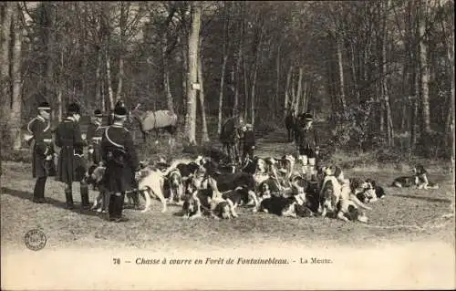 Ak Foret de Fontainebleau Seine et Marne, Chasse a Courre, la meute
