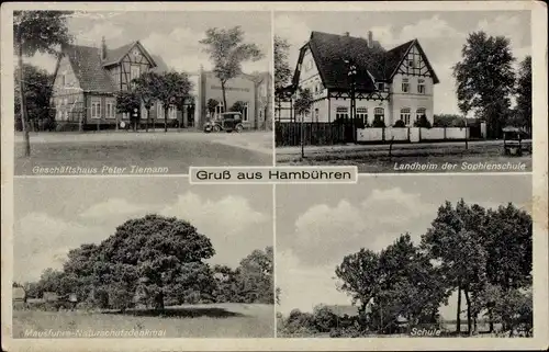 Ak Hambühren in Niedersachsen, Landheim der Sophienschule, Geschäftshaus, Schule