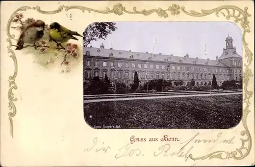 Passepartout Ak Bonn in Nordrhein Westfalen, Partie an der Universität, Vögel, Fassade