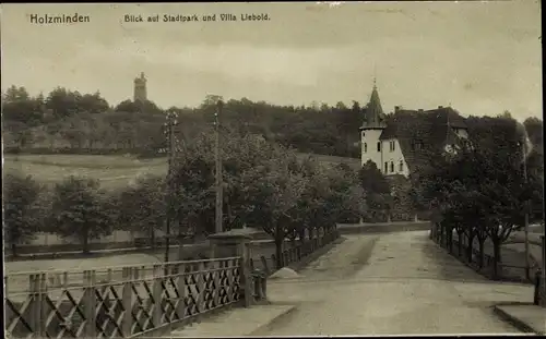 Ak Holzminden in Niedersachsen, Blick auf Stadtpark u. Villa Liebold