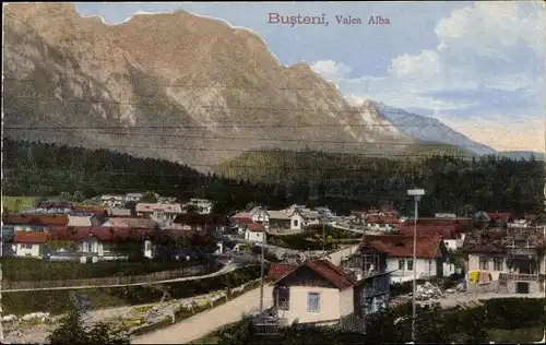 Ak Busteni Große Walachei Rumänien, Valea Alba