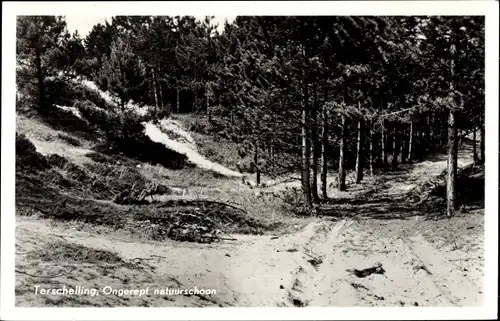 Ak Terschelling Friesland Niederlande, Ongerept natuurschoon