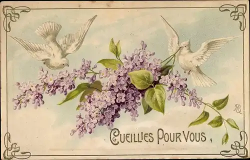 Ak Cueillies Pour Vous, Tauben, Blumen