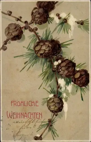 Präge Ak Glückwunsch Weihnachten, Tannenzweig, Zapfen