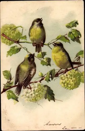 Litho Grüne Vögel auf einem Baumzweig