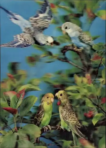 3 D Ak Grüne und blaue Wellensittiche