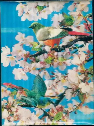 3-D Ak Birds, Les Oiseaux dans le cerisier, Vögel in blühendem Kirschbaum