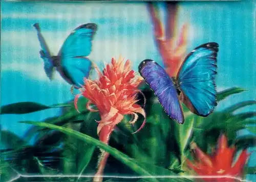 3-D Ak Blaue Schmetterlinge, Rote Blumen
