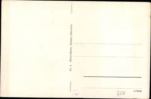Ak Geising Altenberg Erzgebirge, Brüder Reinhard Haus, Grenzlandheim König Georg Schule Dresden