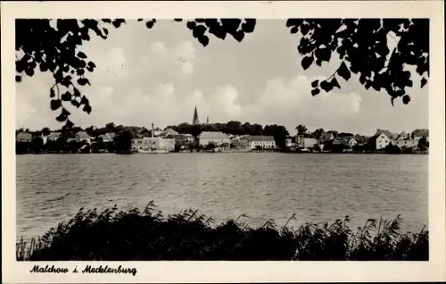 Ak Malchow in Mecklenburg, Panorama