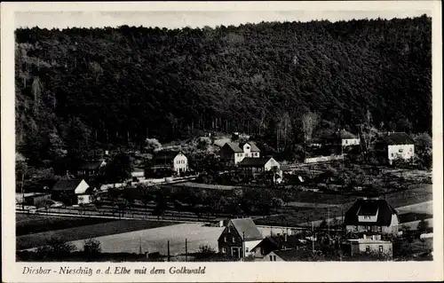 Ak Nieschütz Diera Zehren in Sachsen, Teilansicht mit dem Golkwald