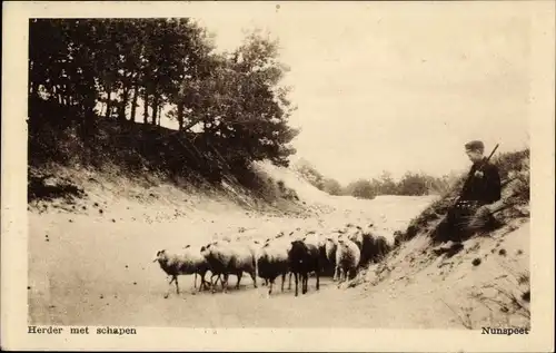 Ak Niederlande, Herder mer schapen, Schafe, Schäfer
