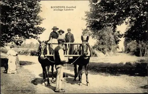 Ak Soustons Landes, Attelage Landais
