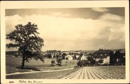 Ak Oelsa Rabenau im Erzgebirge Sachsen, Panorama